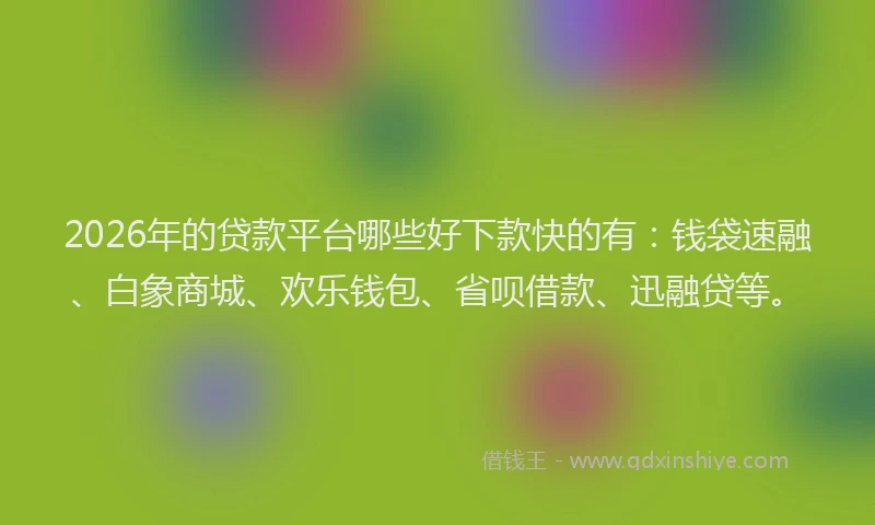 2026年的贷款平台哪些好下款快的有：钱袋速融、白象商城、欢乐钱包、省呗借款、迅融贷等。