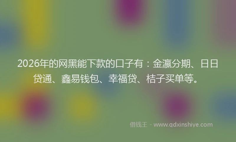2026年的网黑能下款的口子有：金瀛分期、日日贷通、鑫易钱包、幸福贷、桔子买单等。