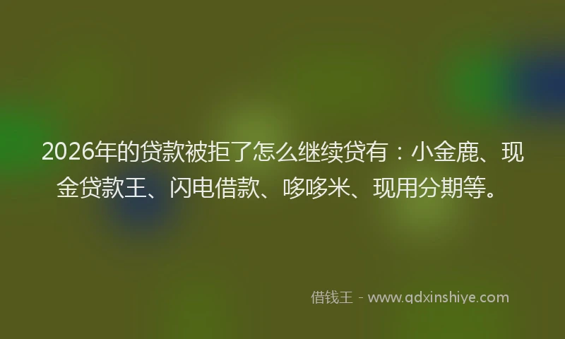 2026年的贷款被拒了怎么继续贷有:小金鹿、现金贷款王、闪电借款、哆哆米、现用分期等。