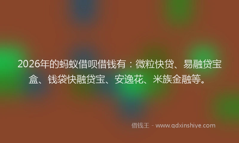 2026年的蚂蚁借呗借钱有：微粒快贷、易融贷宝盒、钱袋快融贷宝、安逸花、米族金融等。