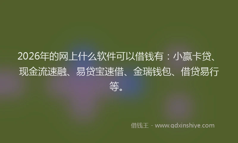 2026年的网上什么软件可以借钱有：小赢卡贷、现金流速融、易贷宝速借、金瑞钱包、借贷易行等。