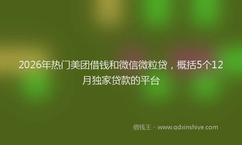 2026年热门美团借钱和微信微粒贷,概括5个12月独家贷款的平台