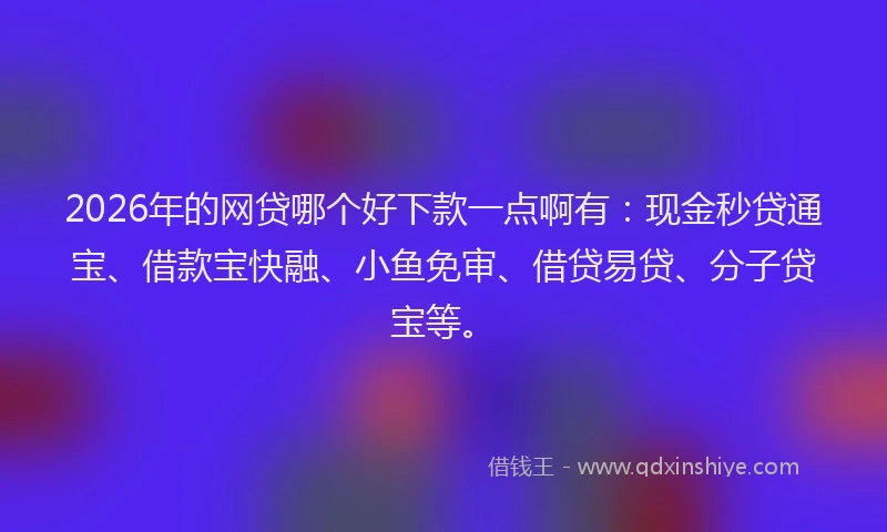 2026年的网贷哪个好下款一点啊有：现金秒贷通宝、借款宝快融、小鱼免审、借贷易贷、分子贷宝等。