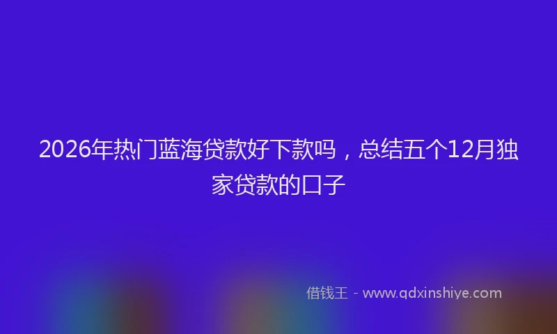 2026年热门蓝海贷款好下款吗，总结五个12月独家贷款的口子