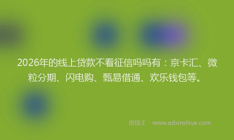 2026年的线上贷款不看征信吗吗有：京卡汇、微粒分期、闪电购、甄易借通、欢乐钱包等。