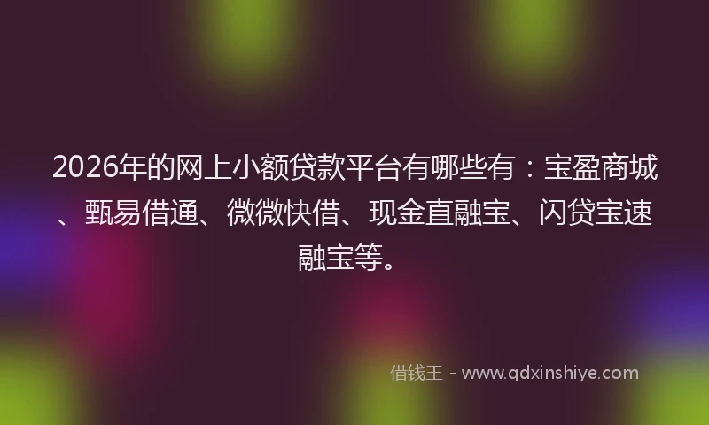 2026年的网上小额贷款平台有哪些有：宝盈商城、甄易借通、微微快借、现金直融宝、闪贷宝速融宝等。