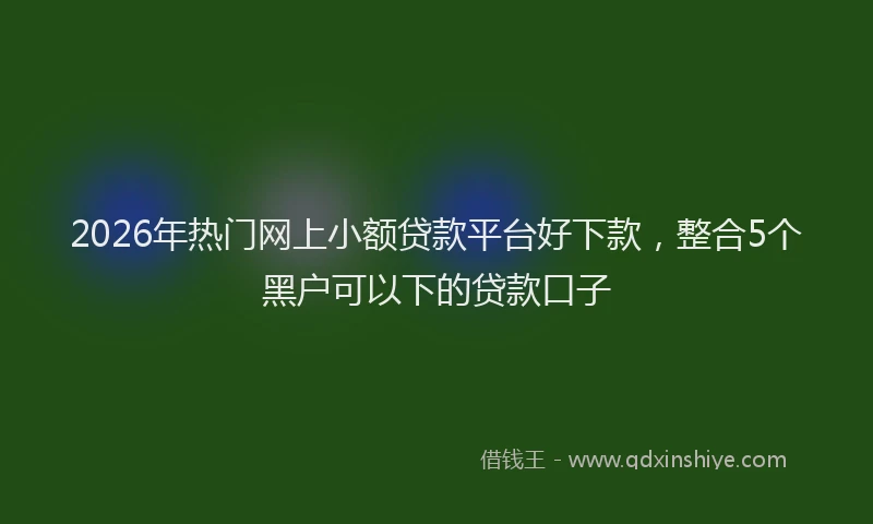 2026年热门网上小额贷款平台好下款，整合5个黑户可以下的贷款口子
