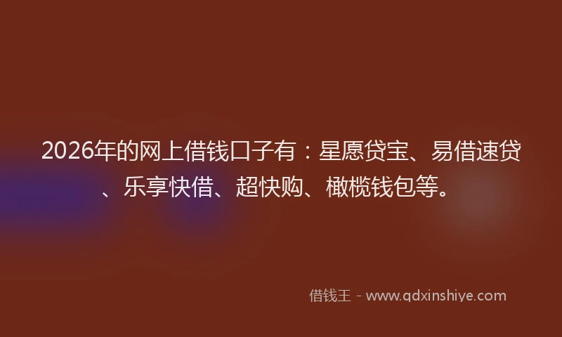 2026年的网上借钱口子有：星愿贷宝、易借速贷、乐享快借、超快购、橄榄钱包等。