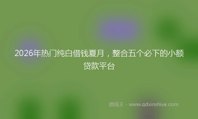 2026年热门纯白借钱夏月，整合五个必下的小额贷款平台