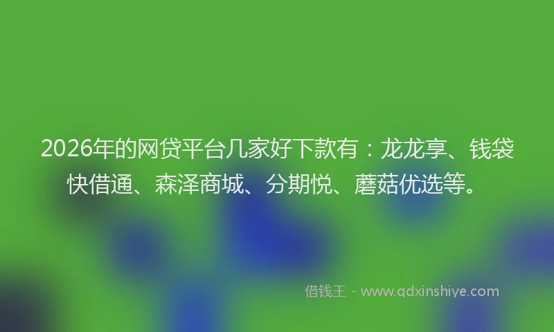 2026年的网贷平台几家好下款有：龙龙享、钱袋快借通、森泽商城、分期悦、蘑菇优选等。