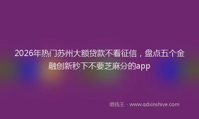 2026年热门苏州大额贷款不看征信，盘点五个金融创新秒下不要芝麻分的app