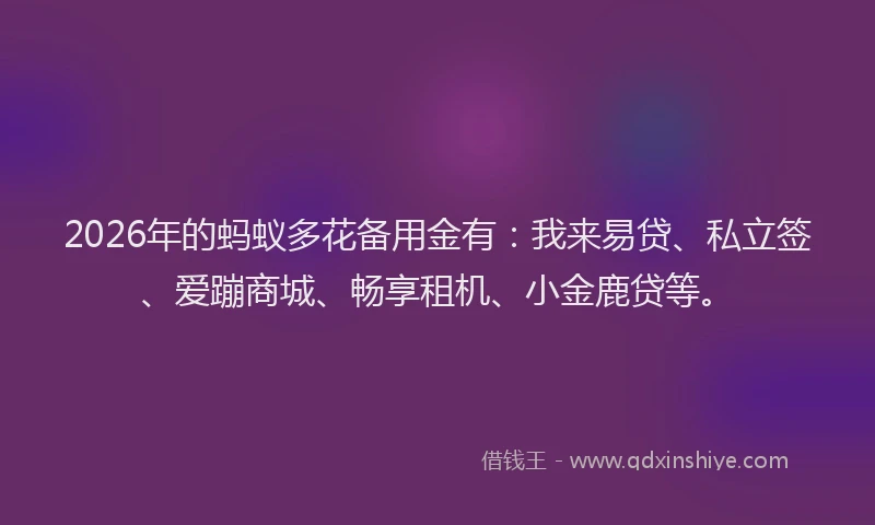 2026年的蚂蚁多花备用金有：我来易贷、私立签、爱蹦商城、畅享租机、小金鹿贷等。