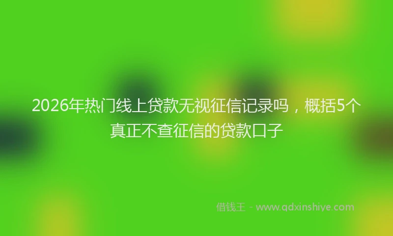 2026年热门线上贷款无视征信记录吗，概括5个真正不查征信的贷款口子