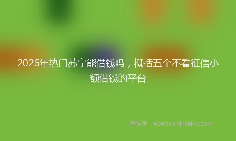 2026年热门苏宁能借钱吗,概括五个不看征信小额借钱的平台