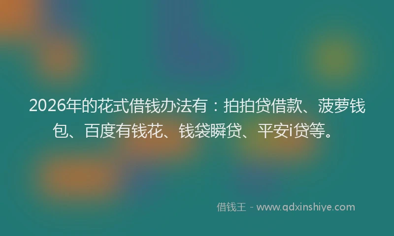 2026年的花式借钱办法有：拍拍贷借款、菠萝钱包、百度有钱花、钱袋瞬贷、平安i贷等。