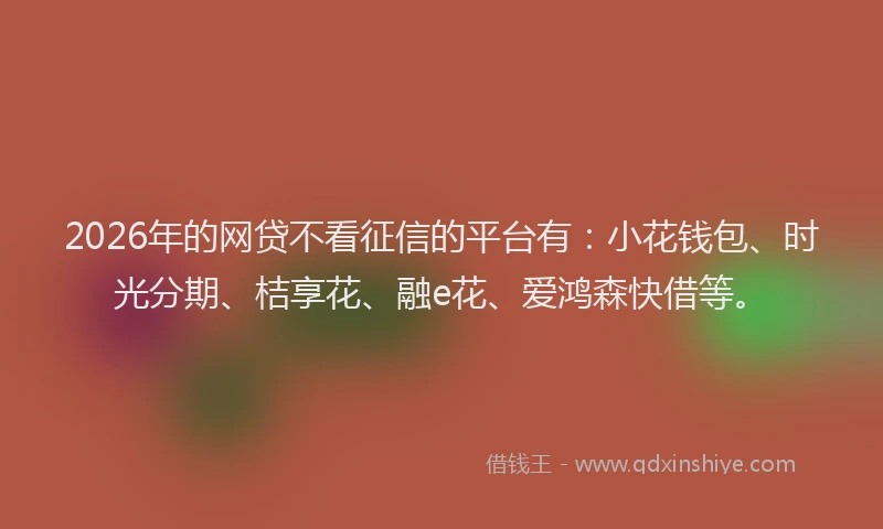 2026年的网贷不看征信的平台有：小花钱包、时光分期、桔享花、融e花、爱鸿森快借等。