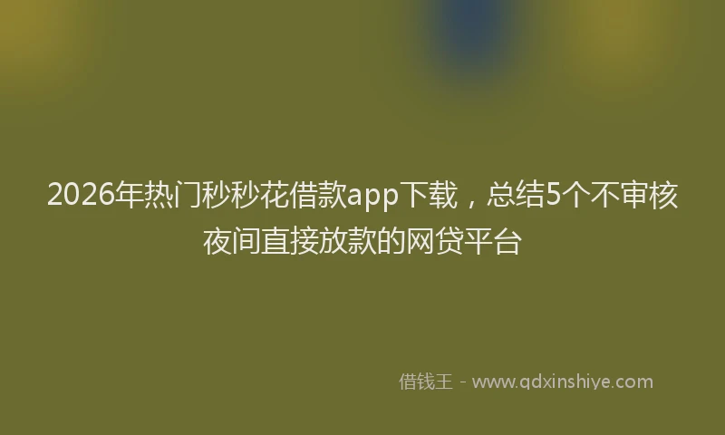 2026年热门秒秒花借款app下载，总结5个不审核夜间直接放款的网贷平台