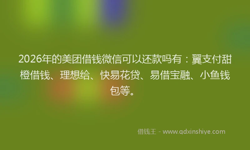 2026年的美团借钱微信可以还款吗有：翼支付甜橙借钱、理想给、快易花贷、易借宝融、小鱼钱包等。