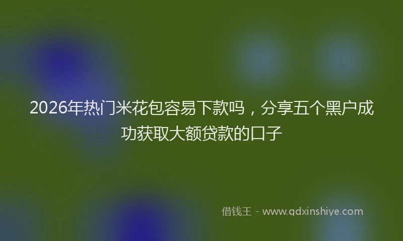 2026年热门米花包容易下款吗，分享五个黑户成功获取大额贷款的口子