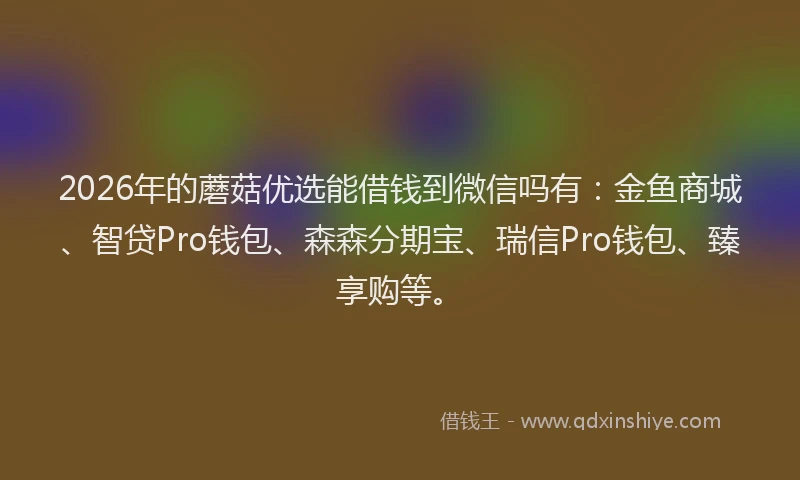 2026年的蘑菇优选能借钱到微信吗有：金鱼商城、智贷Pro钱包、森森分期宝、瑞信Pro钱包、臻享购等。