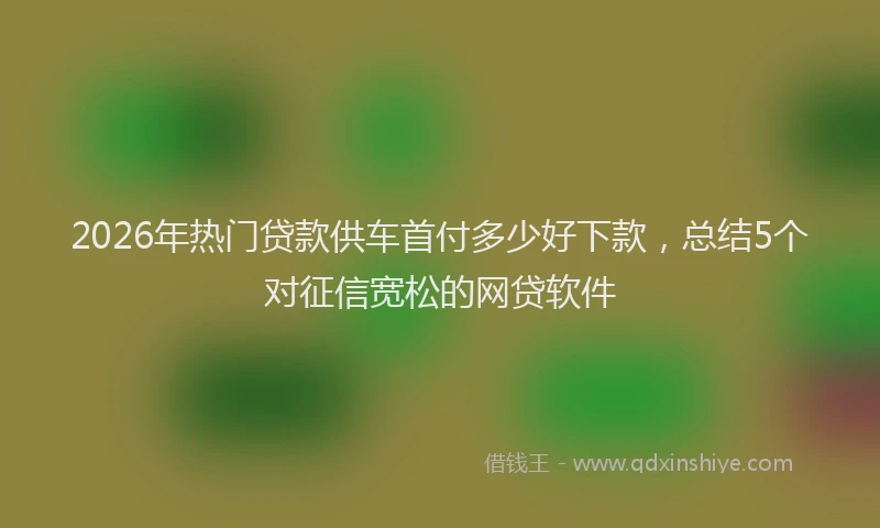 2026年热门贷款供车首付多少好下款,总结5个对征信宽松的网贷软件