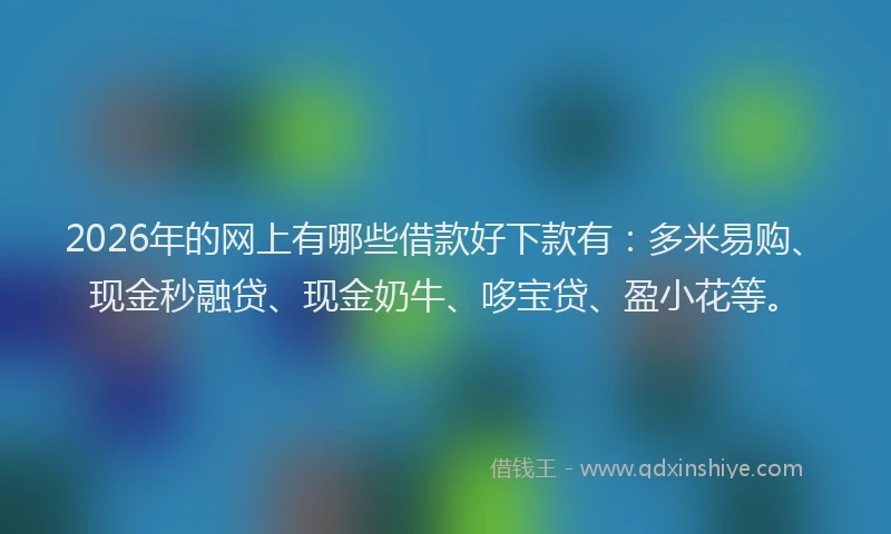 2026年的网上有哪些借款好下款有：多米易购、现金秒融贷、现金奶牛、哆宝贷、盈小花等。