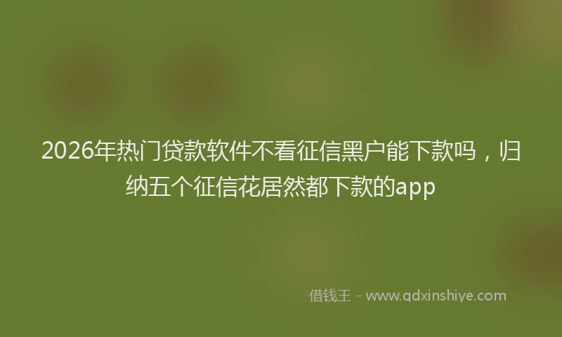 2026年热门贷款软件不看征信黑户能下款吗，归纳五个征信花居然都下款的app