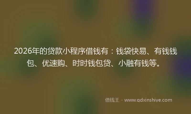 2026年的贷款小程序借钱有：钱袋快易、有钱钱包、优速购、时时钱包贷、小融有钱等。