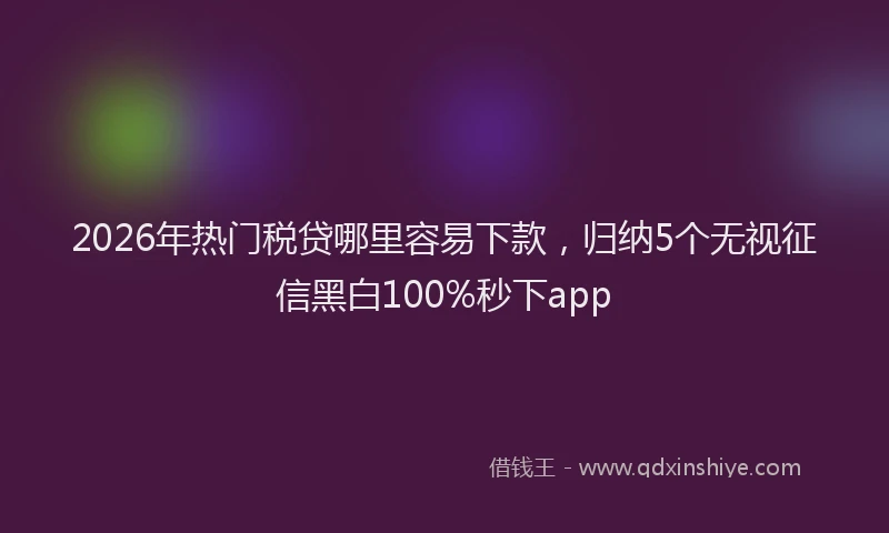 2026年热门税贷哪里容易下款，归纳5个无视征信黑白100%秒下app