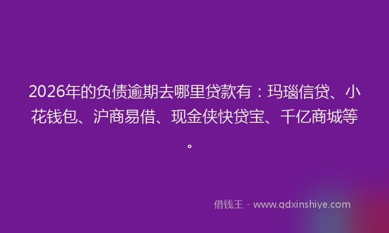 2026年的负债逾期去哪里贷款有：玛瑙信贷、小花钱包、沪商易借、现金侠快贷宝、千亿商城等。