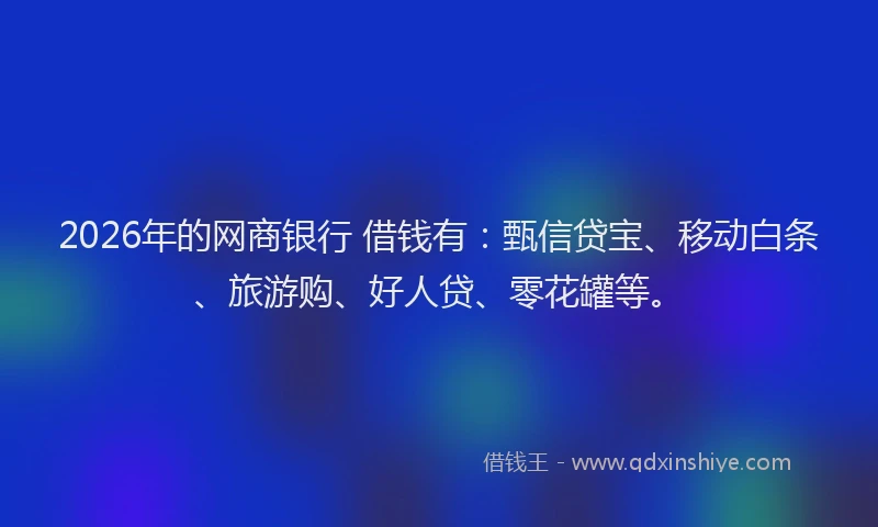 2026年的网商银行 借钱有：甄信贷宝、移动白条、旅游购、好人贷、零花罐等。