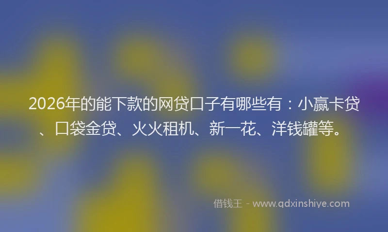 2026年的能下款的网贷口子有哪些有：小赢卡贷、口袋金贷、火火租机、新一花、洋钱罐等。