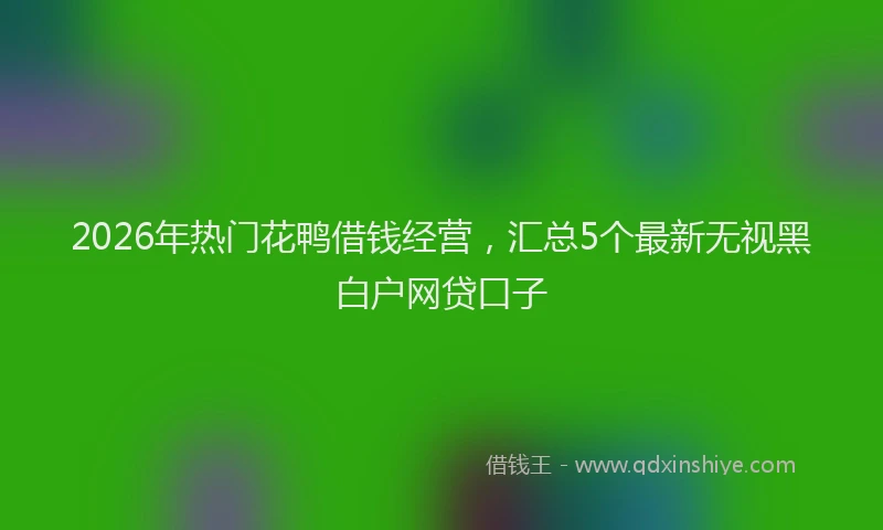 2026年热门花鸭借钱经营，汇总5个最新无视黑白户网贷口子