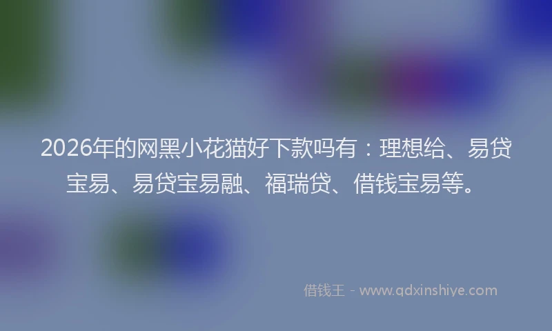 2026年的网黑小花猫好下款吗有：理想给、易贷宝易、易贷宝易融、福瑞贷、借钱宝易等。