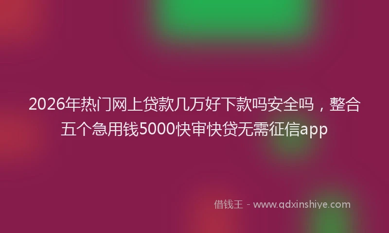 2026年热门网上贷款几万好下款吗安全吗，整合五个急用钱5000快审快贷无需征信app