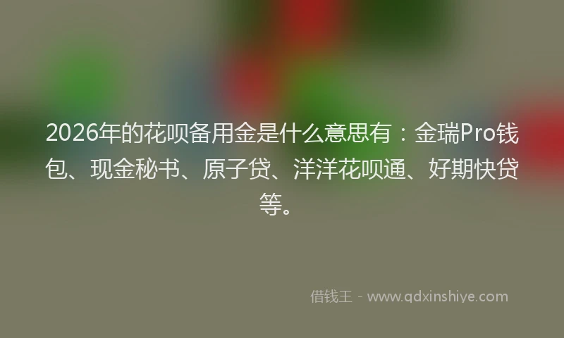2026年的花呗备用金是什么意思有：金瑞Pro钱包、现金秘书、原子贷、洋洋花呗通、好期快贷等。