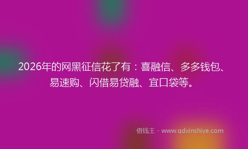 2026年的网黑征信花了有：喜融信、多多钱包、易速购、闪借易贷融、宜口袋等。