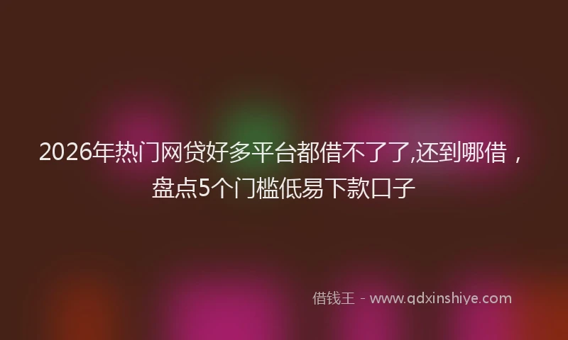 2026年热门网贷好多平台都借不了了,还到哪借，盘点5个门槛低易下款口子