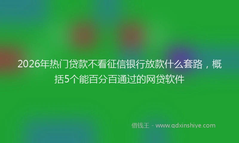 2026年热门贷款不看征信银行放款什么套路，概括5个能百分百通过的网贷软件