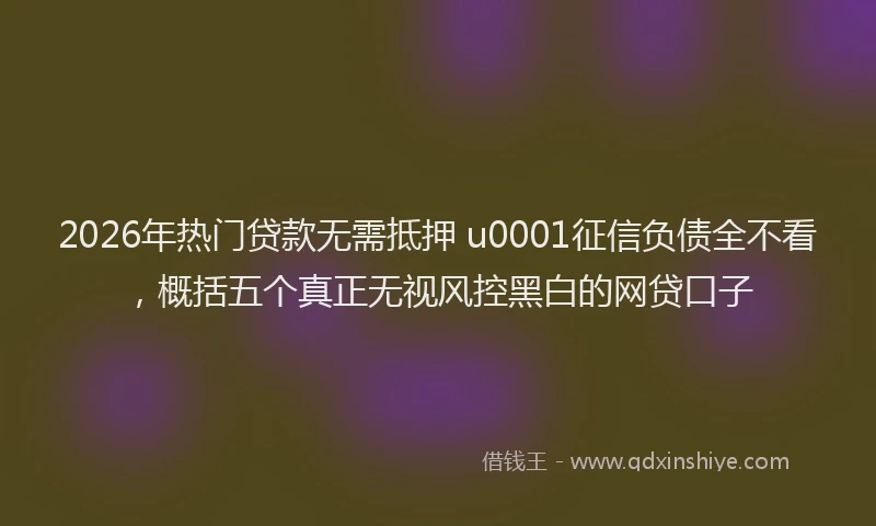 2026年热门贷款无需抵押 u0001征信负债全不看，概括五个真正无视风控黑白的网贷口子