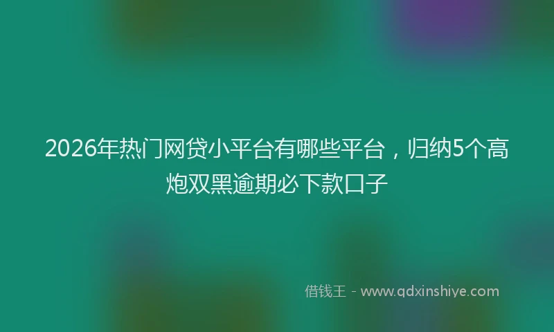 2026年热门网贷小平台有哪些平台，归纳5个高炮双黑逾期必下款口子