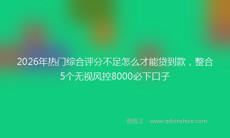 2026年热门综合评分不足怎么才能贷到款，整合5个无视风控8000必下口子