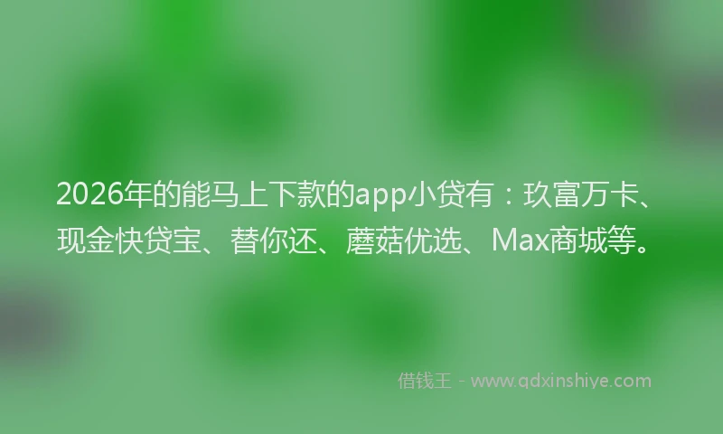 2026年的能马上下款的app小贷有：玖富万卡、现金快贷宝、替你还、蘑菇优选、Max商城等。