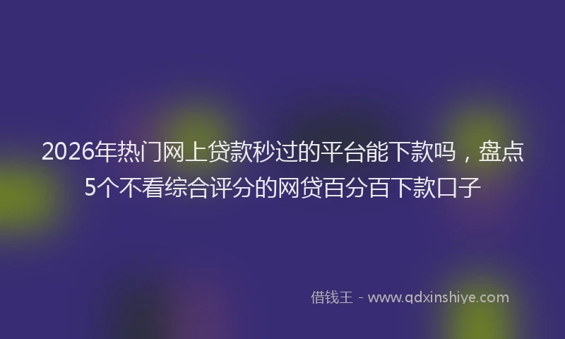 2026年热门网上贷款秒过的平台能下款吗，盘点5个不看综合评分的网贷百分百下款口子