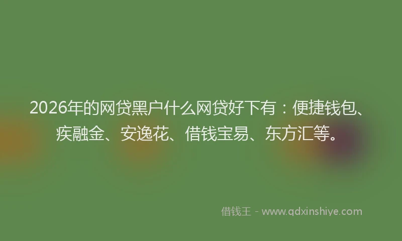 2026年的网贷黑户什么网贷好下有：便捷钱包、疾融金、安逸花、借钱宝易、东方汇等。