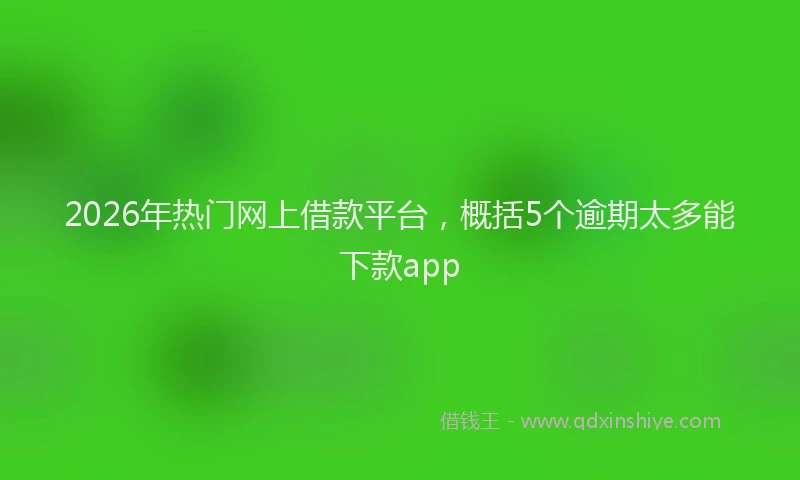 2026年热门网上借款平台，概括5个逾期太多能下款app