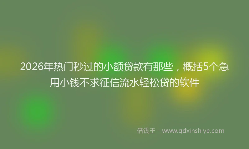 2026年热门秒过的小额贷款有那些，概括5个急用小钱不求征信流水轻松贷的软件