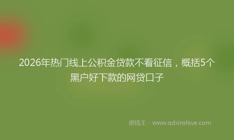 2026年热门线上公积金贷款不看征信，概括5个黑户好下款的网贷口子