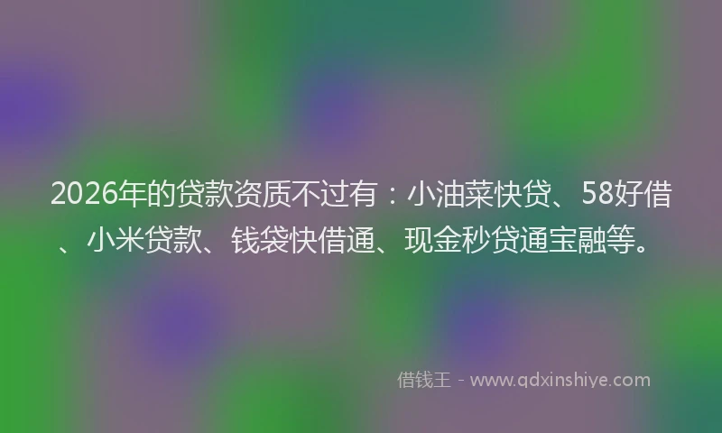 2026年的贷款资质不过有：小油菜快贷、58好借、小米贷款、钱袋快借通、现金秒贷通宝融等。