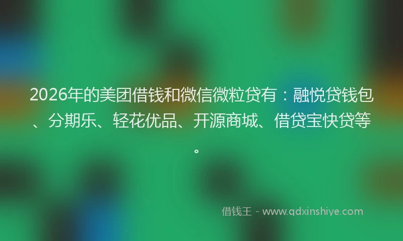 2026年的美团借钱和微信微粒贷有：融悦贷钱包、分期乐、轻花优品、开源商城、借贷宝快贷等。